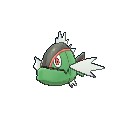 Basculin (Red-Striped Form)