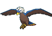 Braviary shiny