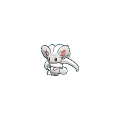 Cinccino