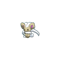 Cinccino shiny