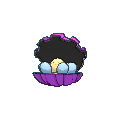 Clamperl shiny