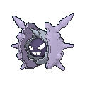 Cloyster