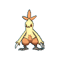 Combusken shiny