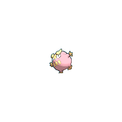 Darumaka shiny