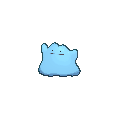 Ditto shiny