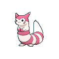 Furret shiny