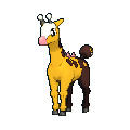 Girafarig female