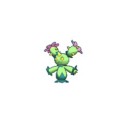 Maractus