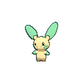 Minun shiny
