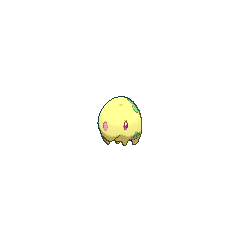 Munna shiny