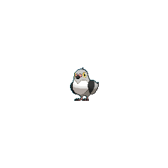 Pidove