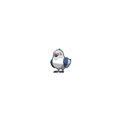 Pidove shiny