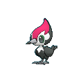 Pikipek shiny