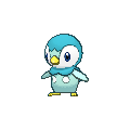Piplup shiny