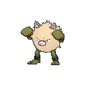 Primeape shiny
