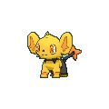 Shinx shiny