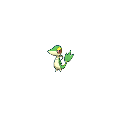 Snivy