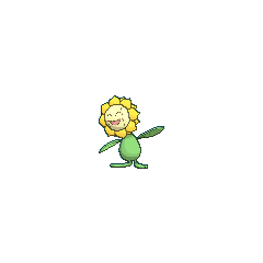 Sunflora