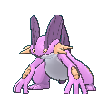 Swampert shiny