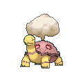 Torkoal shiny