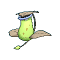 Victreebel shiny