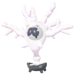 Cursola shiny