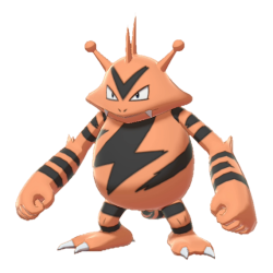 Electabuzz shiny