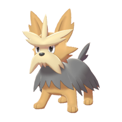 Herdier shiny