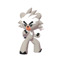 Kubfu shiny