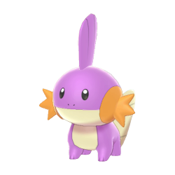 Mudkip shiny