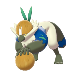 Passimian shiny