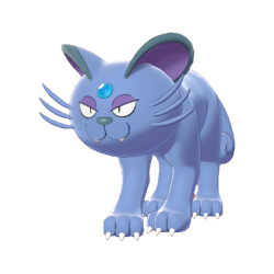 Persian shiny