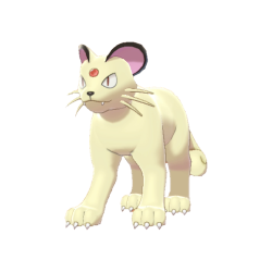 Persian shiny
