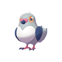 Pidove shiny