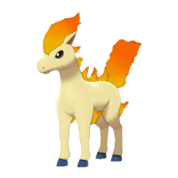 Ponyta