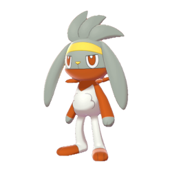 Raboot shiny
