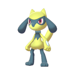 Riolu shiny