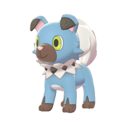 Rockruff shiny