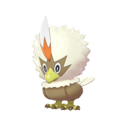 Rufflet shiny