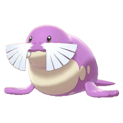 Sealeo shiny