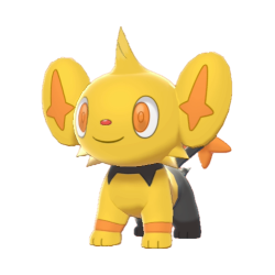 Shinx shiny