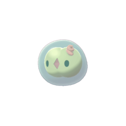 Solosis shiny