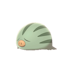 Swinub shiny