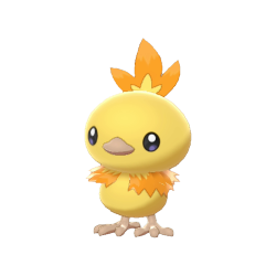 Torchic shiny
