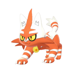 Torracat shiny