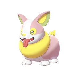 Yamper shiny