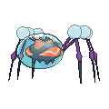 Araquanid shiny