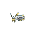 Barboach shiny