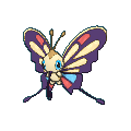 Beautifly shiny