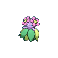 Bellossom shiny